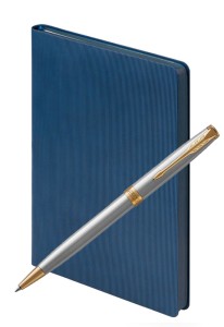 Parker Sonnet Stainless Steel GT Portobello Rain